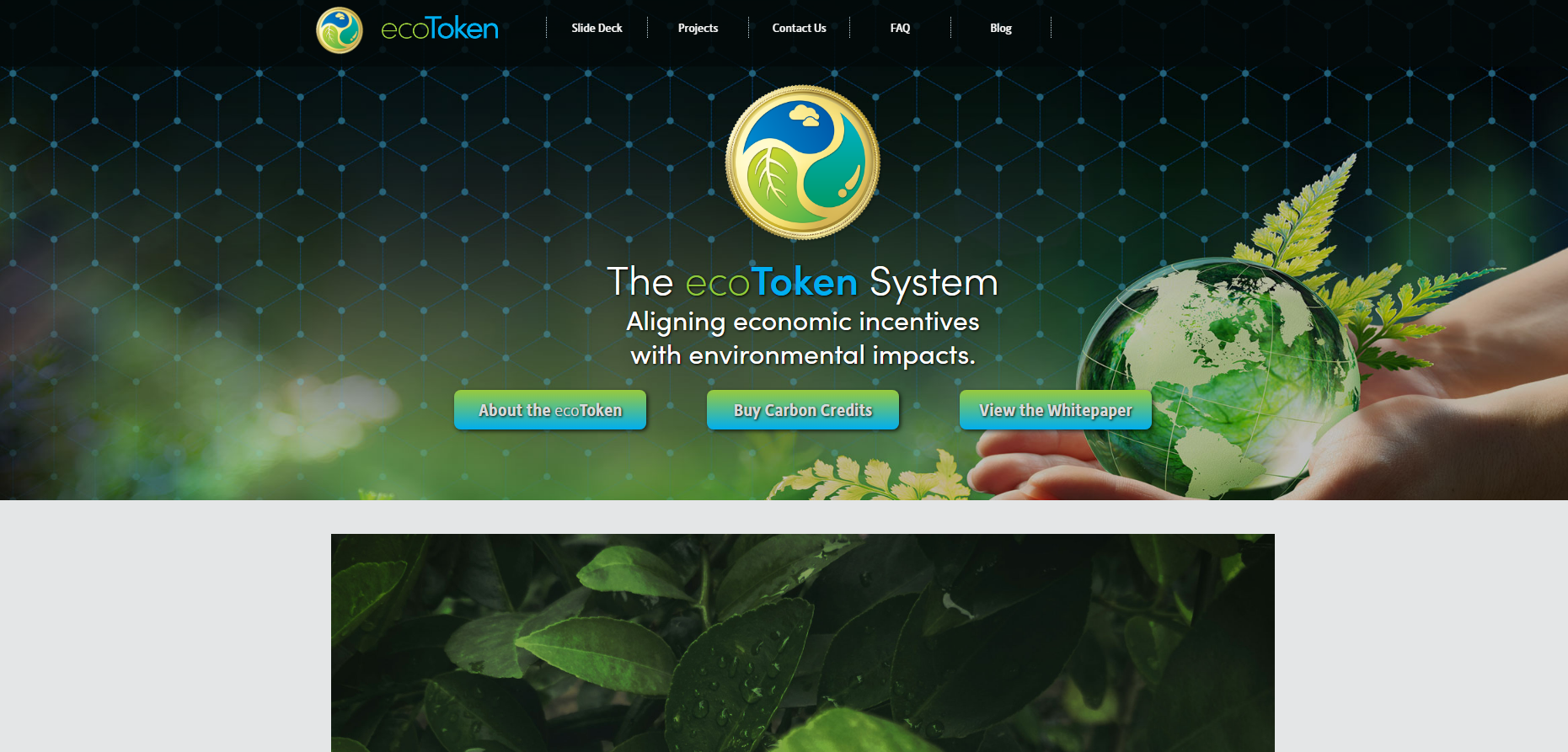 Screenshot of  web app